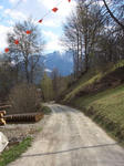 raschlegnas2