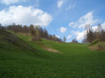 raschlegnas3