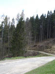 raschlegnas5