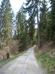 raschlegnas6