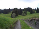 portain1-11