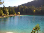 091010cauma2