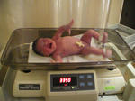 Haruka_born02.JPG