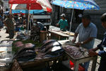 IMG_2314.jpg