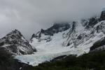 IMG_2442.jpg