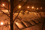 IMG_2530.jpg