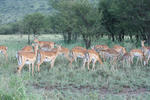 IMG_2637.jpg
