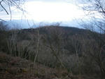 090307_tode.JPG