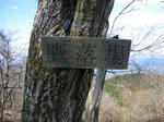 090404_taka.JPG