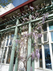 resize0756.jpg