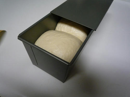 resize0795.jpg