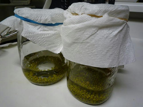 blog_20100301_R003.JPG
