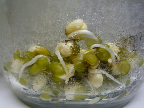 blog_20100301_R007.JPG