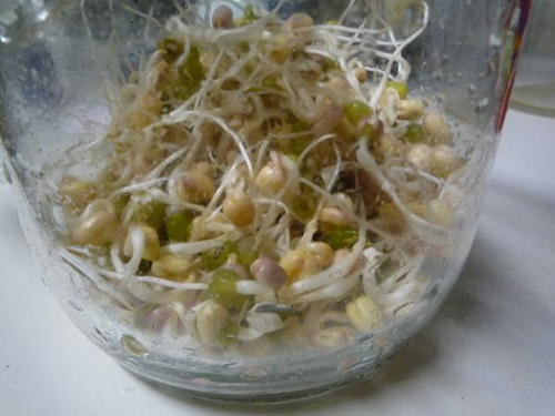 blog_20100301_R009.JPG