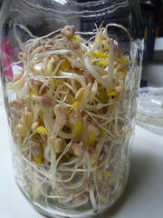 blog_20100301_R012.JPG