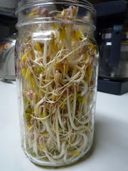 blog_20100301_R014.JPG