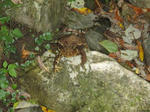 PA180008.jpg