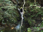 PA180007.jpg