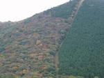 PB090044.jpg