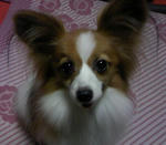 SN3C00010002.jpg