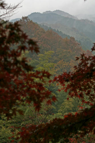 芳徳寺