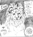 lion.jpg