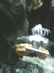 200805110028000.jpg