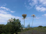 CIMG0072_640.jpg