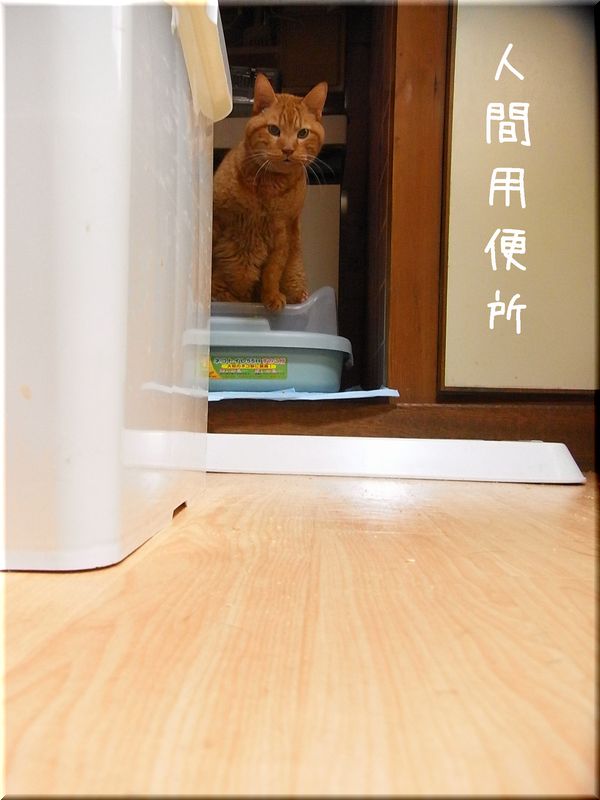 用足しＪＪ