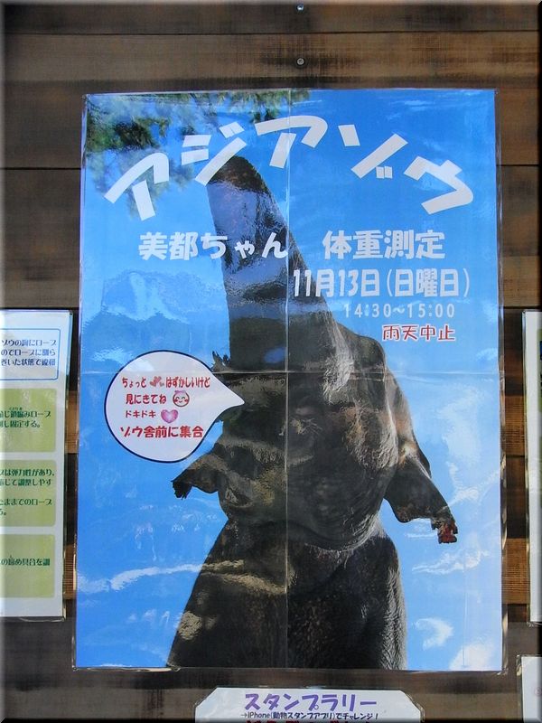 公開体重測定。