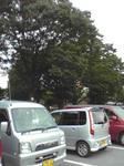 太田市運動公園