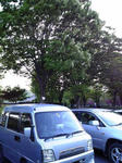 太田市運動公園