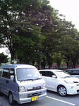 太田市運動公園