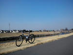 高崎伊勢崎自転車道