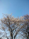 太田市運動公園