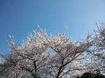 太田市運動公園