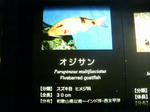 オジサン