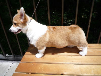 image-7.jpg
