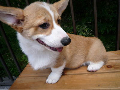 image-9.jpg