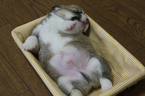 IMG_9716.JPG-1.JPG
