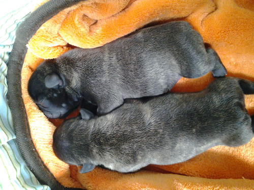 2012-04-13_10-37-42.jpg