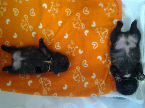 2012-04-23_17-27-20.jpg