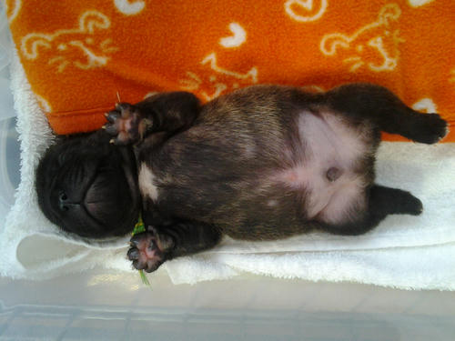 2012-04-23_17-27-39.jpg