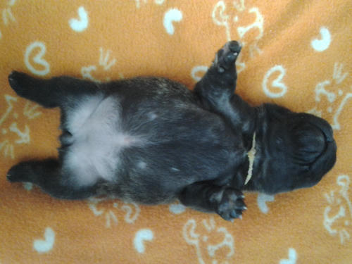 2012-04-23_17-27-54.jpg