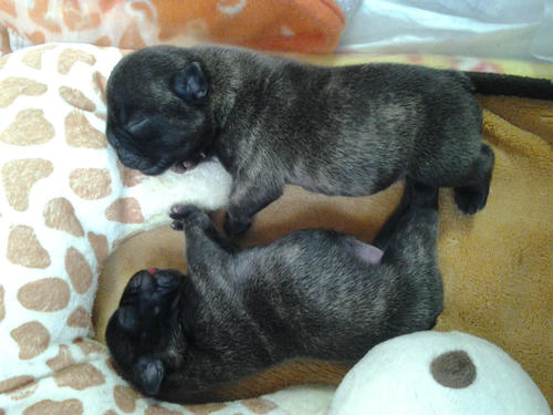 2012-04-15_15-12-35.jpg