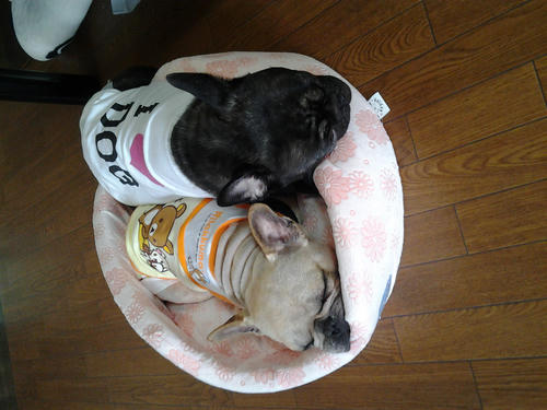2012-05-30_08-49-54.jpg