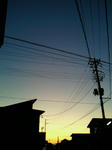 200908251835000.jpg