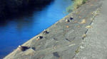 200909051628001.jpg