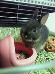 200910042104000.jpg