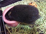 200910052301000.jpg